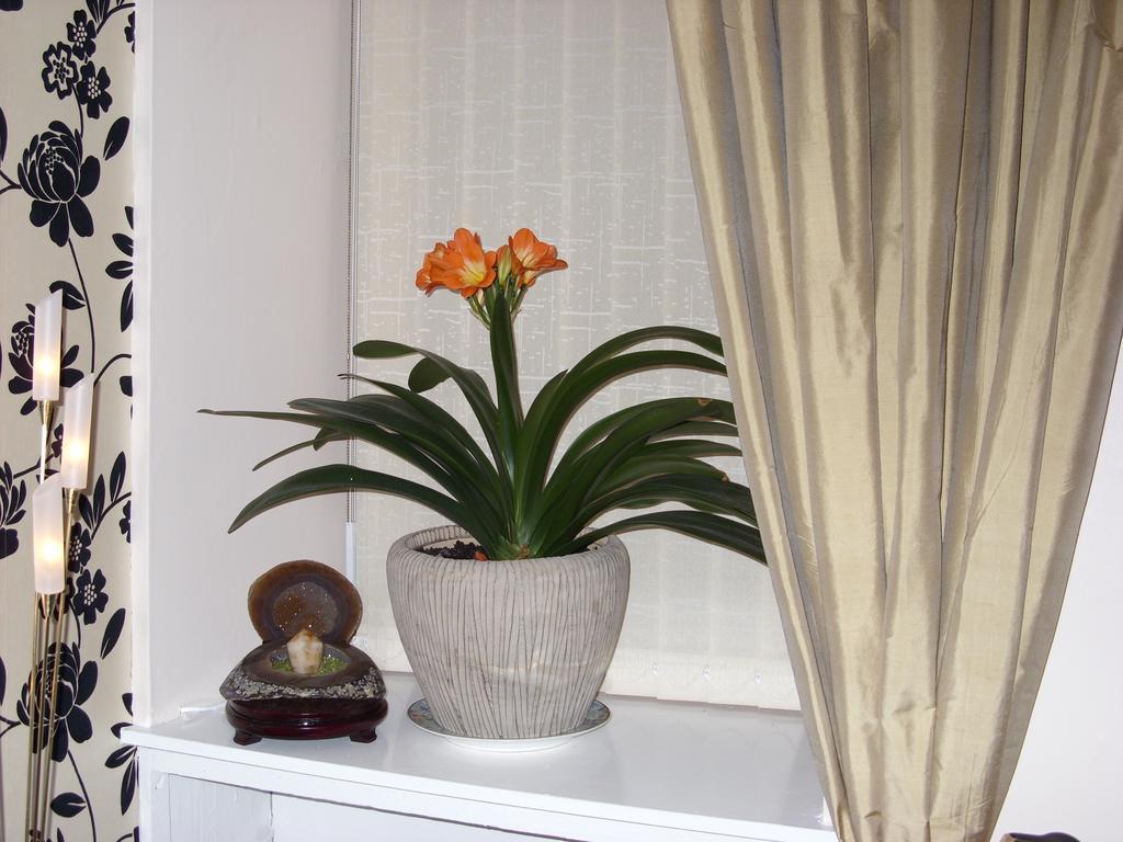 Alba Guest House Aberdeen Dış mekan fotoğraf